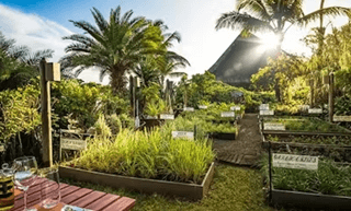 The Oberoi Beach Resort