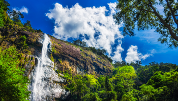 Shri Lanka