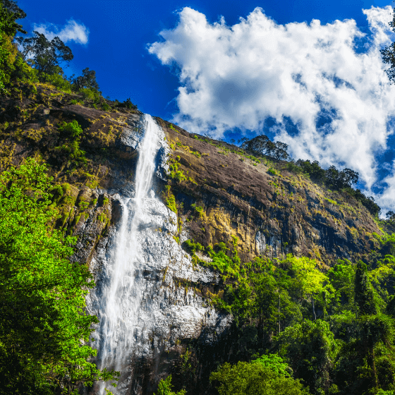 Sri Lanka Holidays