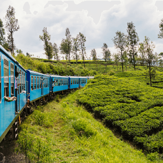 Sri Lanka Holidays