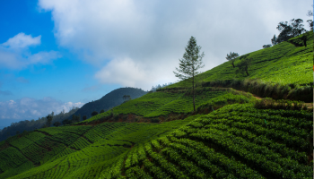 Sri Lanka